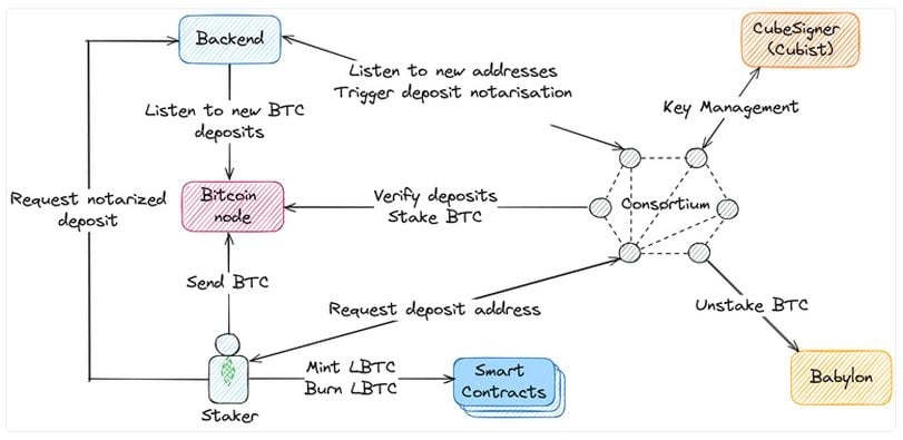 The Protocol: The Secret Code Behind Trump Family Crypto Project