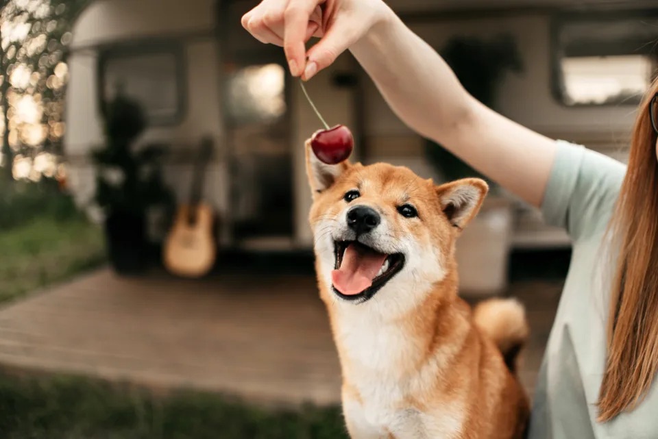 No Rest For the Wicked: Another Big Weekend Move for Dogecoin